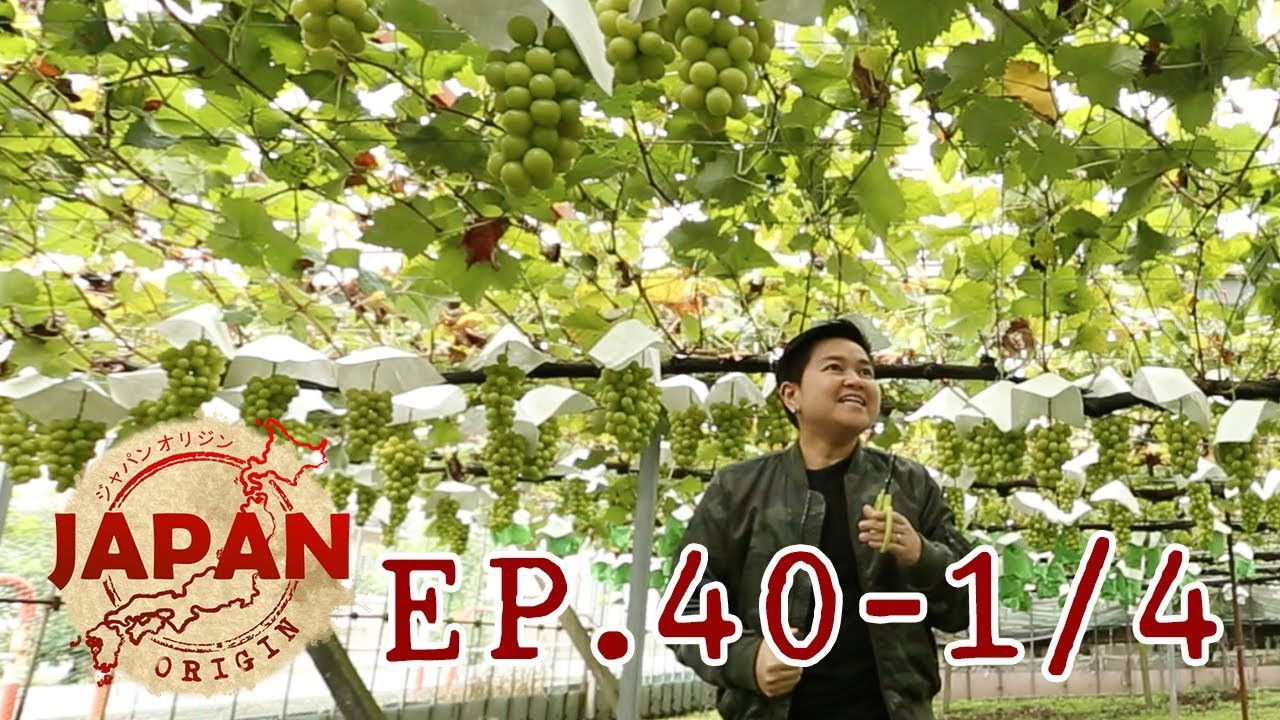Japan Origin — Épisode 40