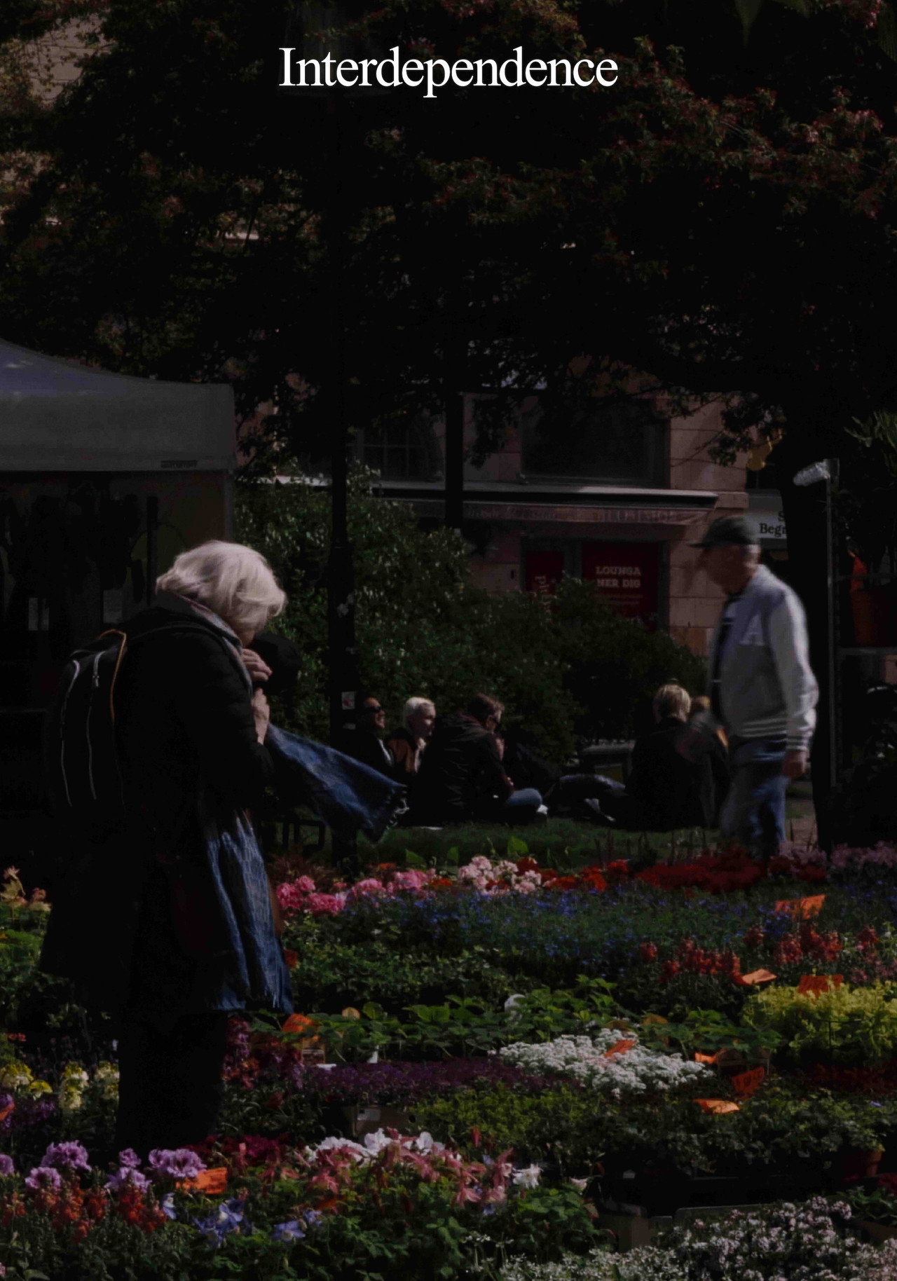 Interdependence filmaffisch