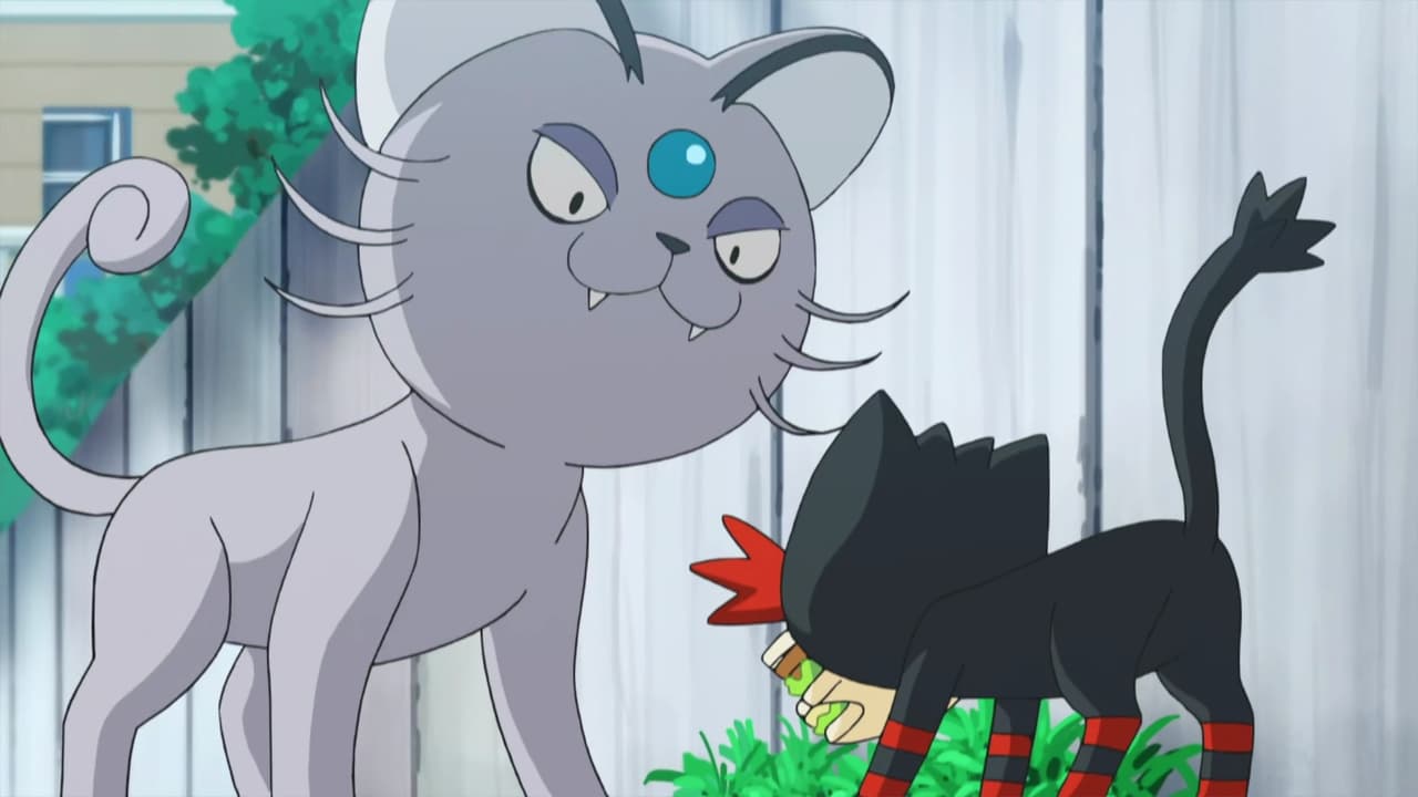 Pokémon - Season 20 Episode 7 : That's Why the Litten is a Scamp!