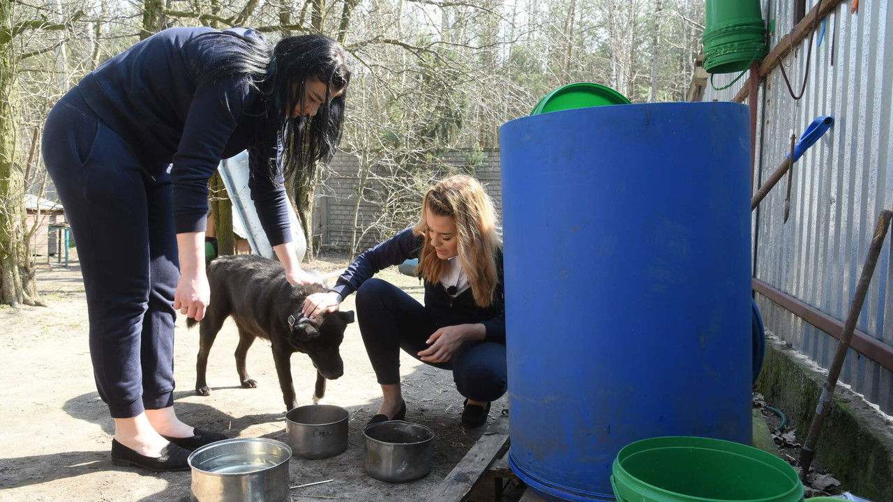 Projekt Lady — Épisode 8