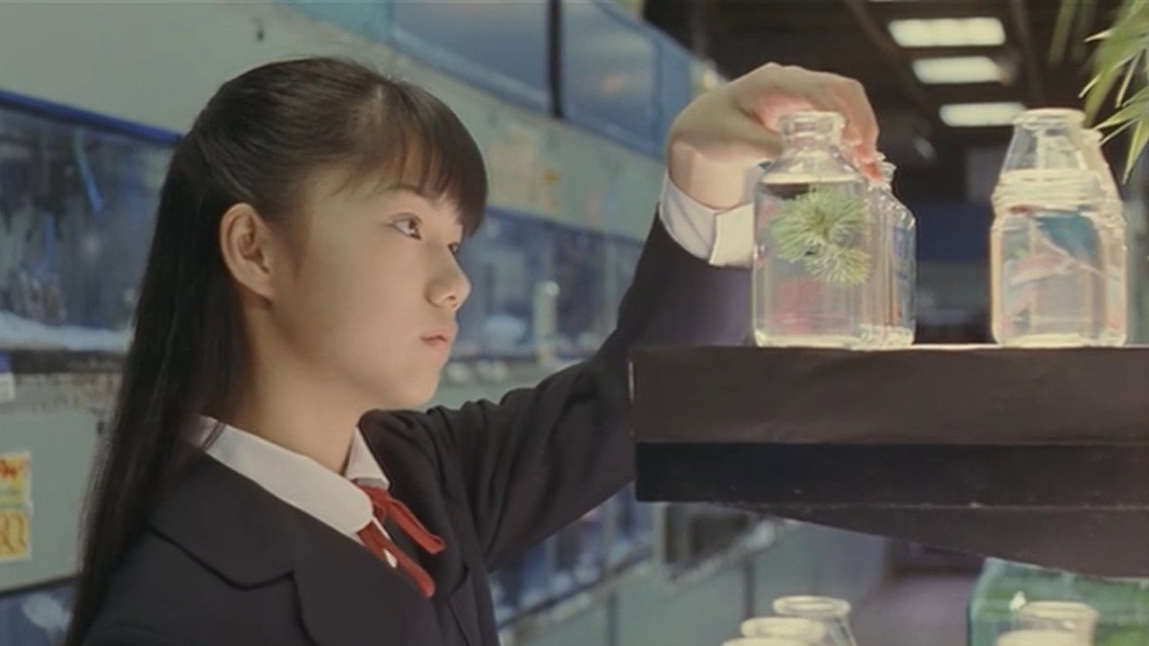 Immagine di copertina del trailer di Harmful Insect