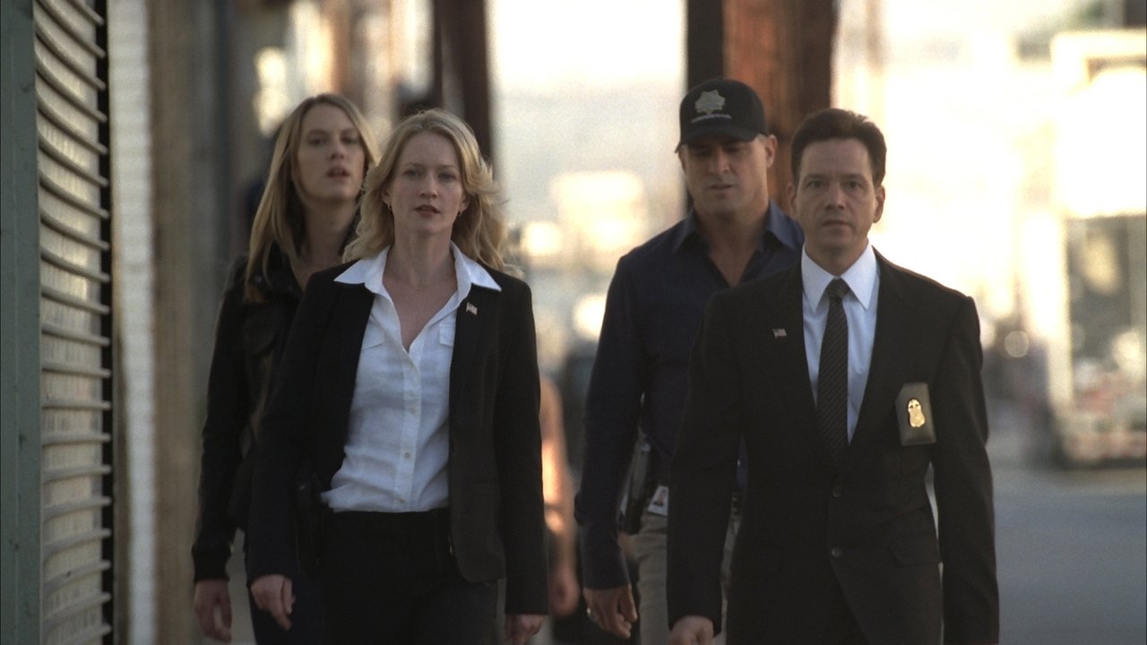 CSI: Crime Scene Investigation - Season 9 Episode 12 : Disarmed and Dangerous
