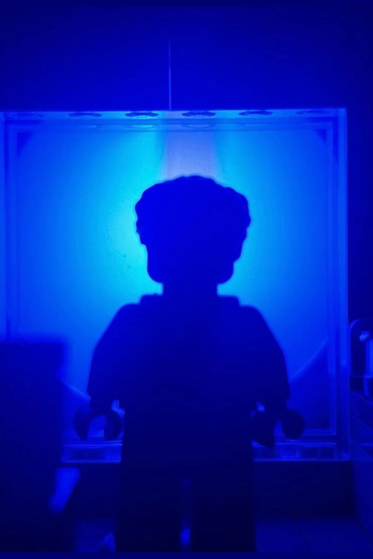 The Way Out Backdrop