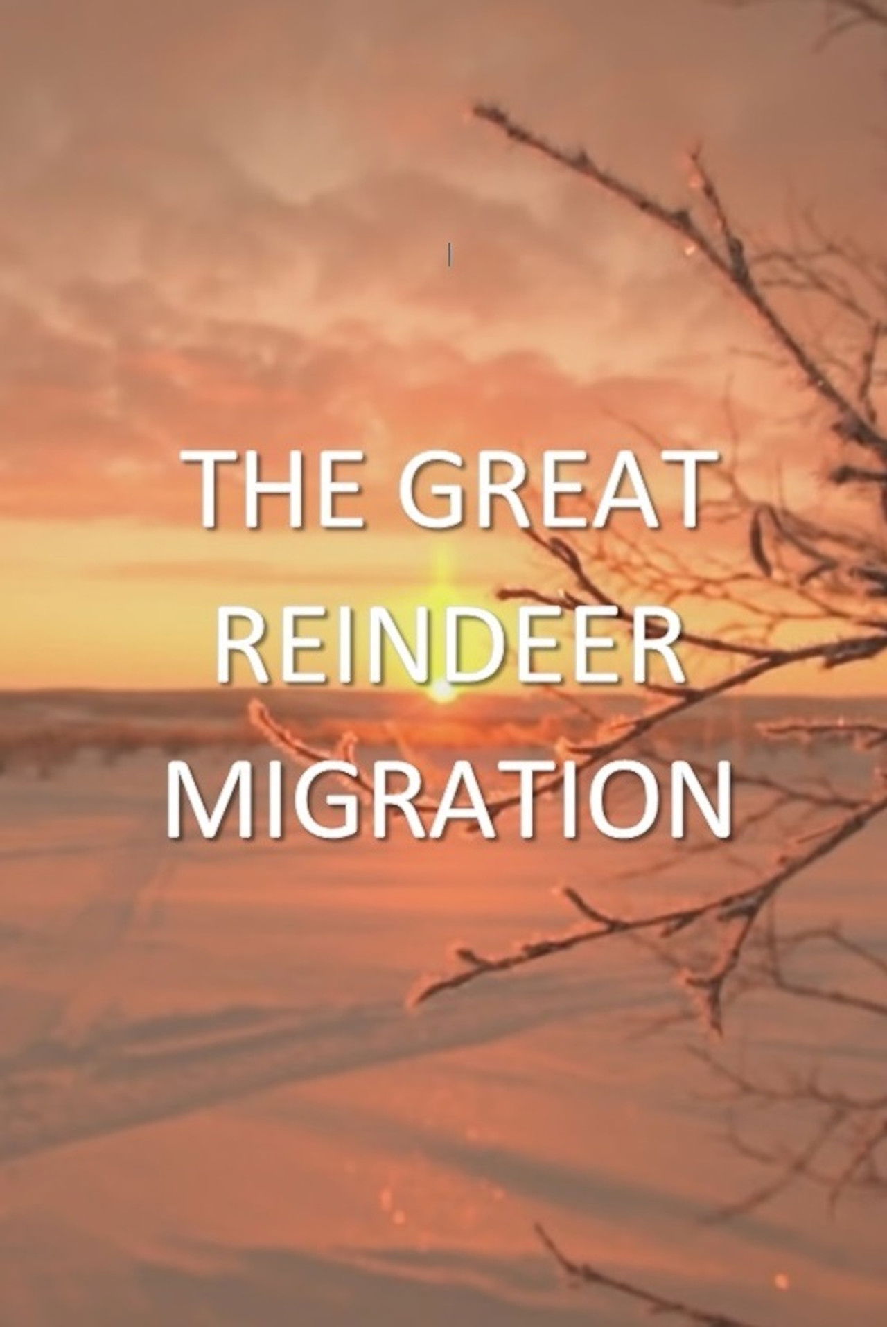 All Aboard! The Great Reindeer Migration Backdrop