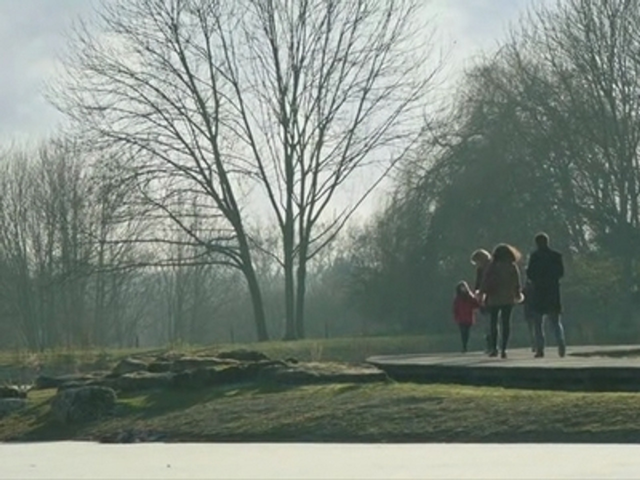 Alice Nevers, le juge est une femme — Fight