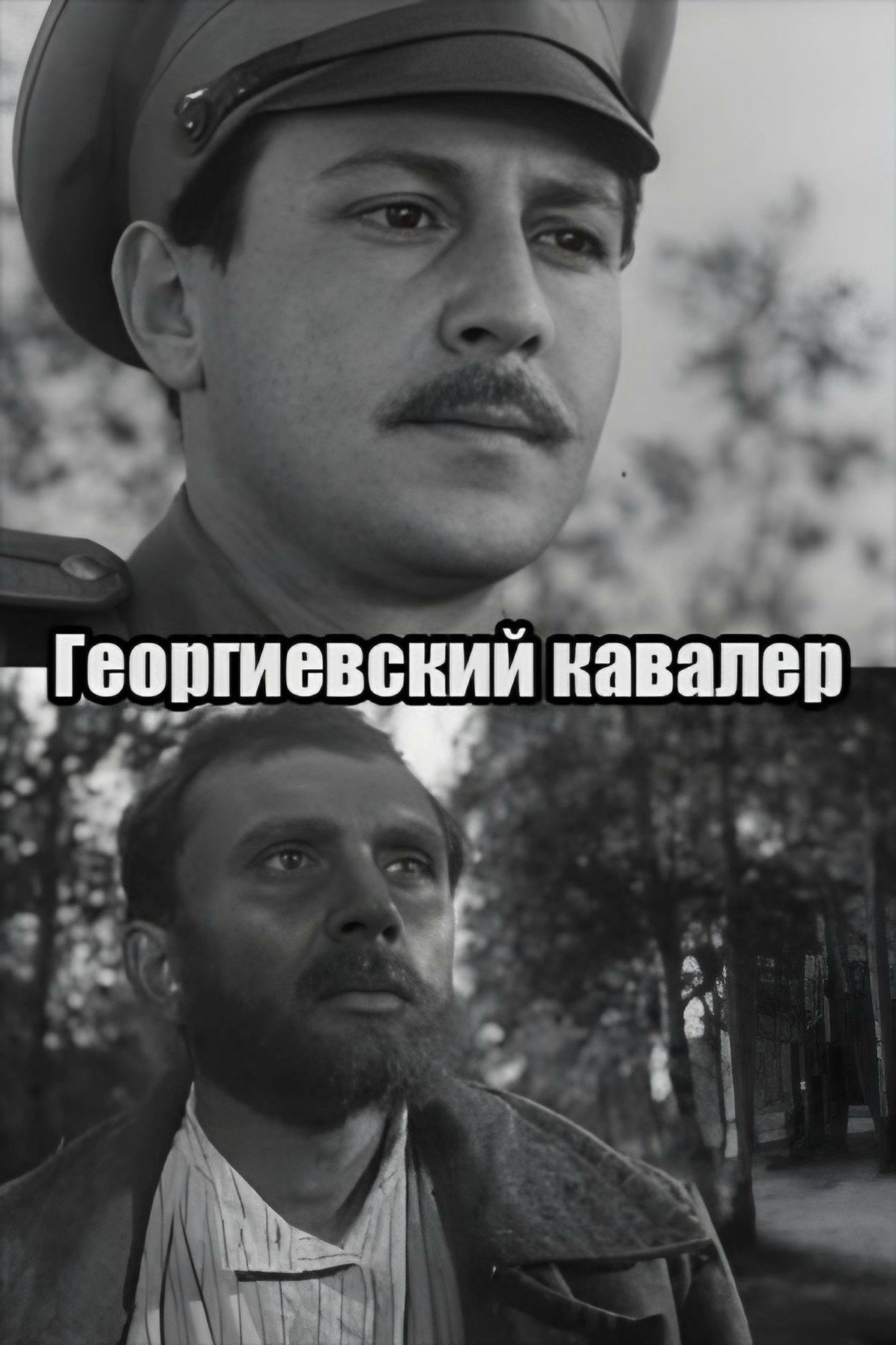 Knight of St. George Backdrop