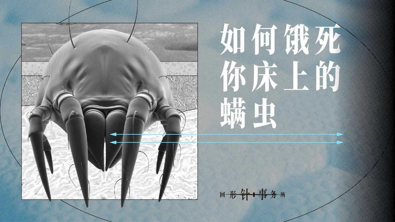 回形针PaperClip — Épisode 27