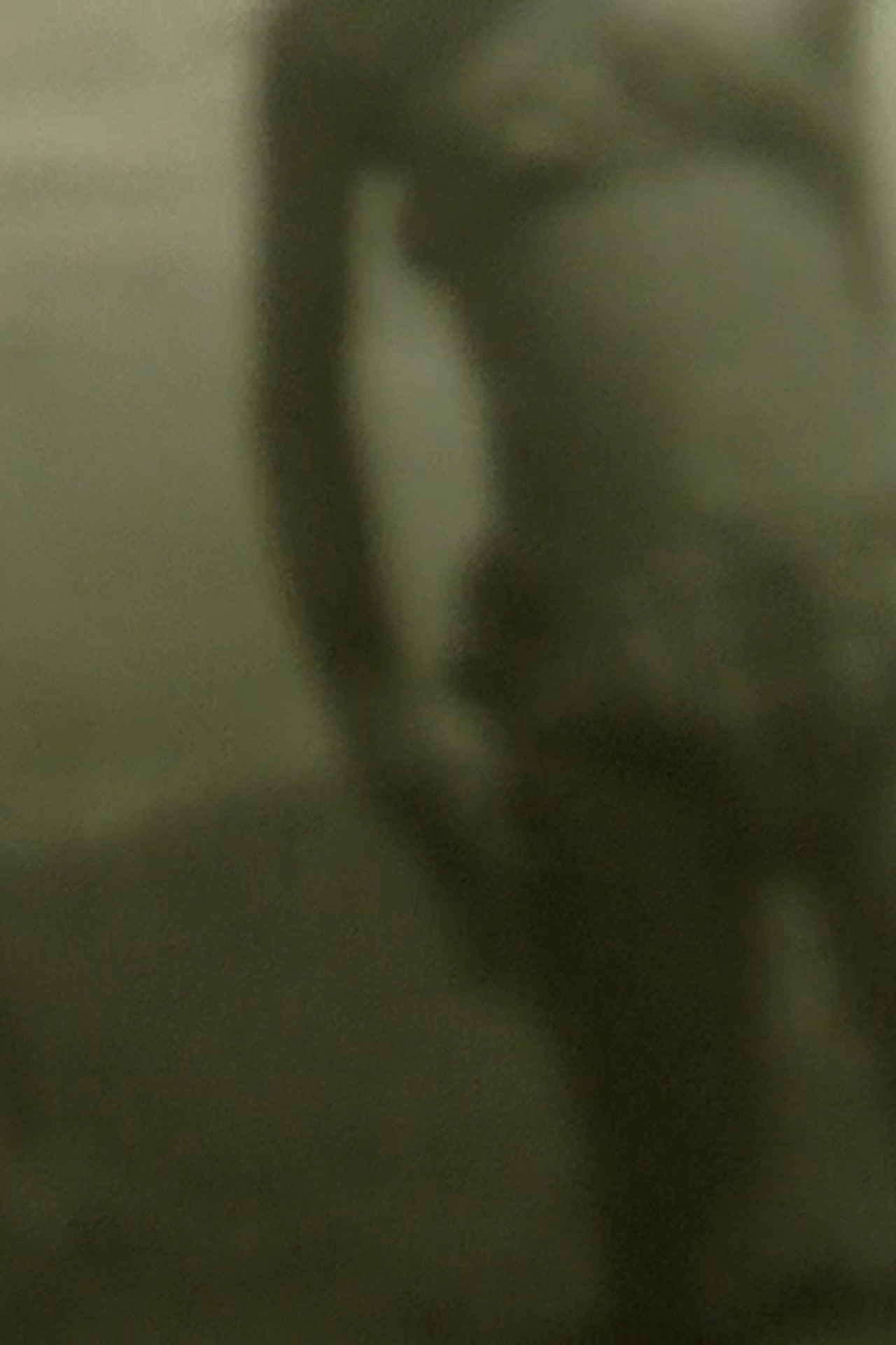 Apparitions filmaffisch