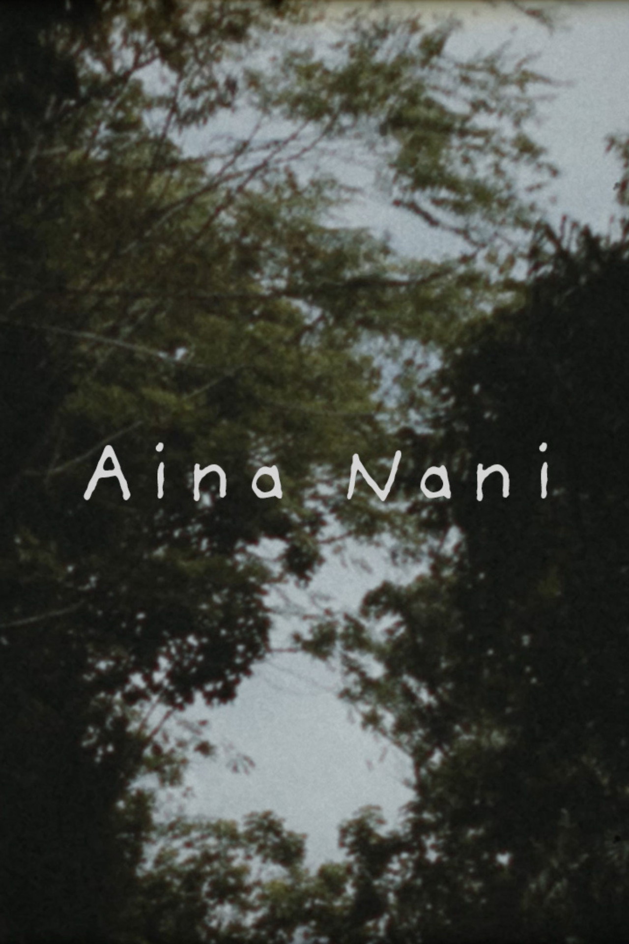 Aina Nani filmaffisch