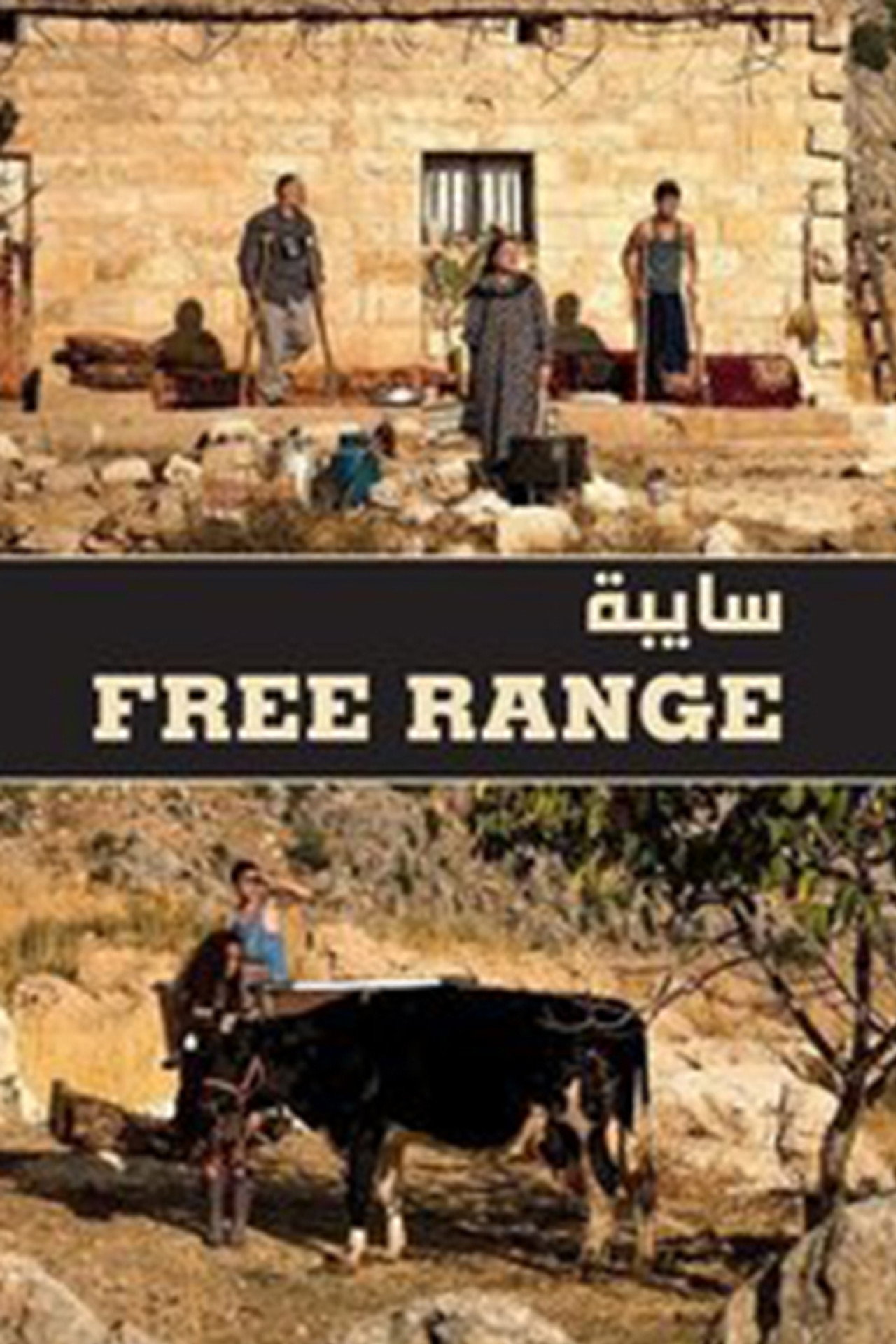 سايبة filmaffisch
