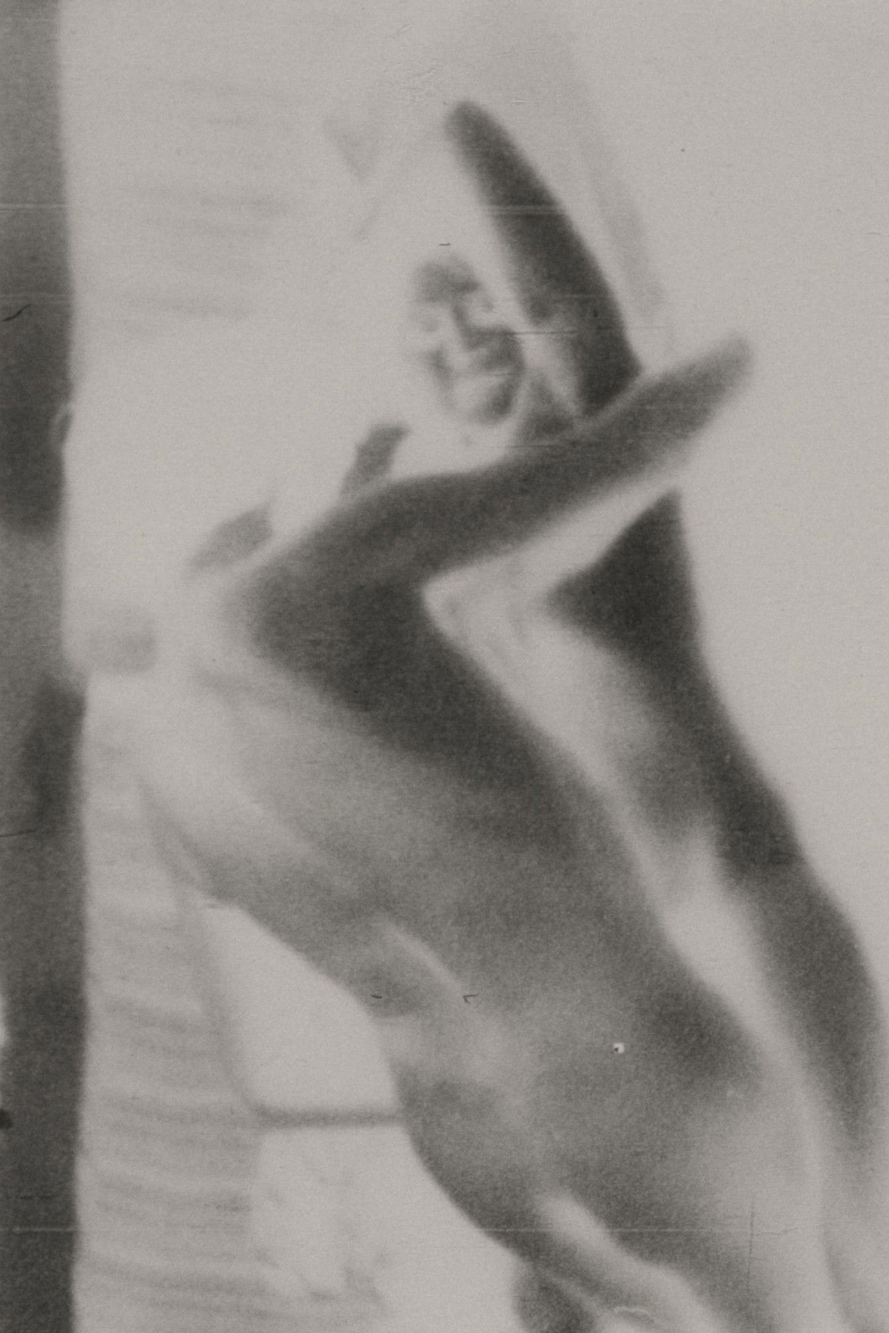 Poor Cinderella, still ironing her husband shirt Backdrop