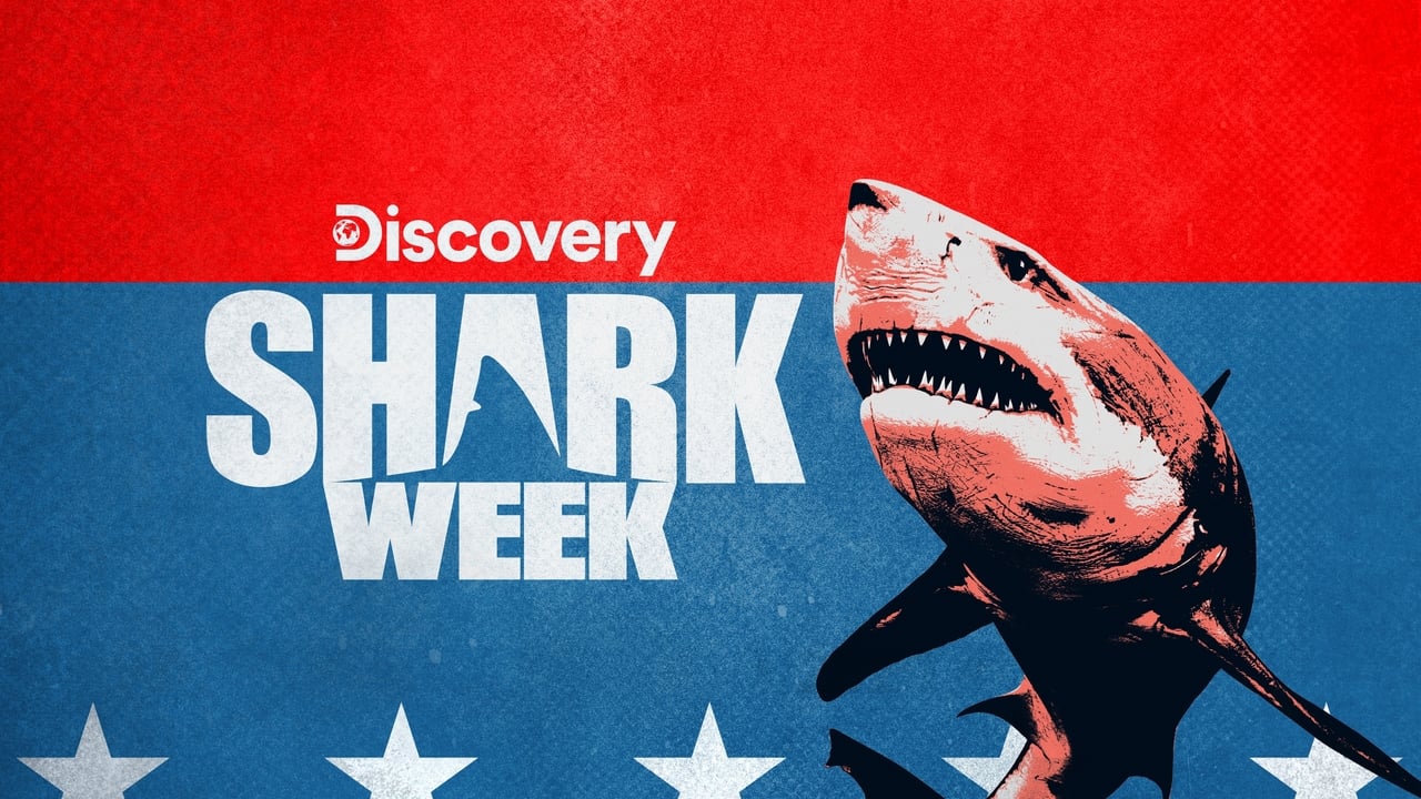 Shark Week background