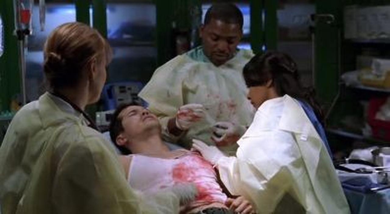 ER - Season 12 Episode 14 : Quintessence of Dust