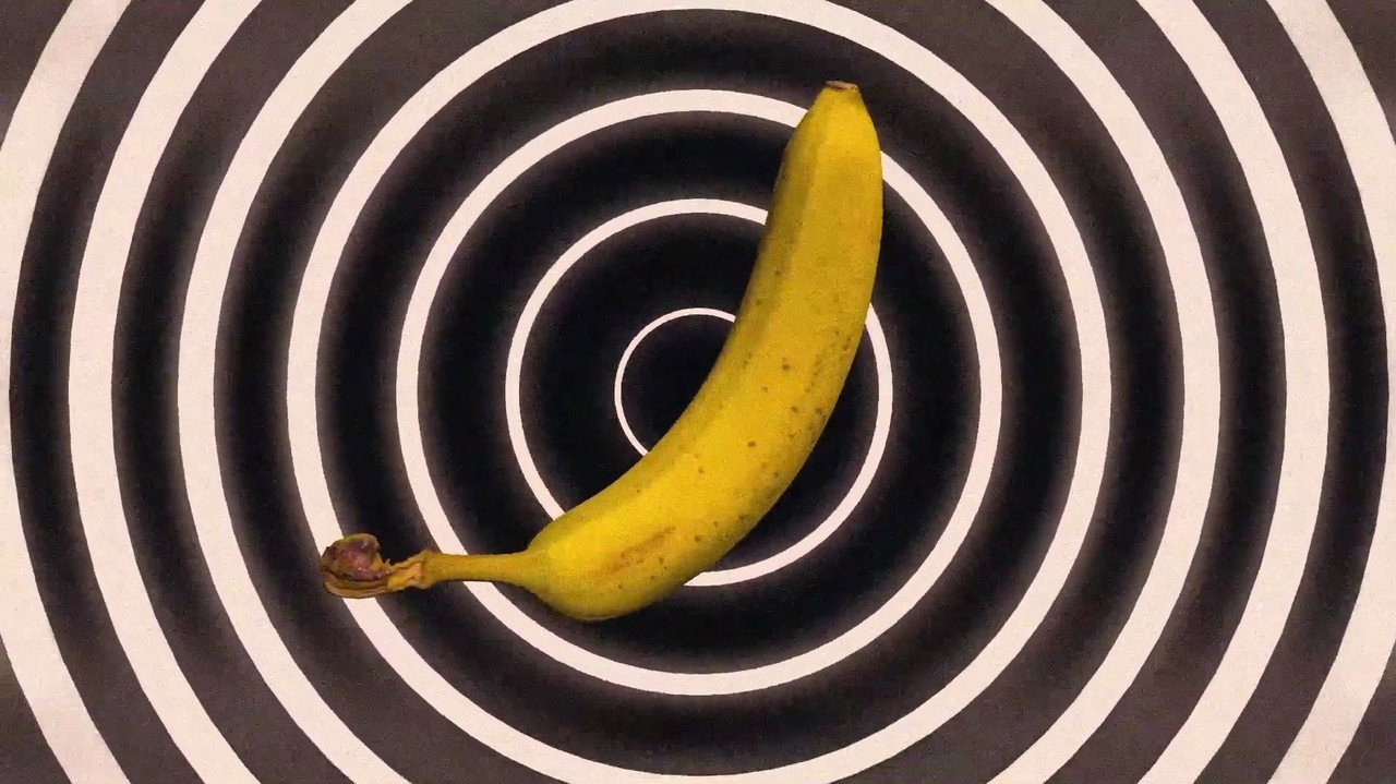 Going Bananas - 剧照
