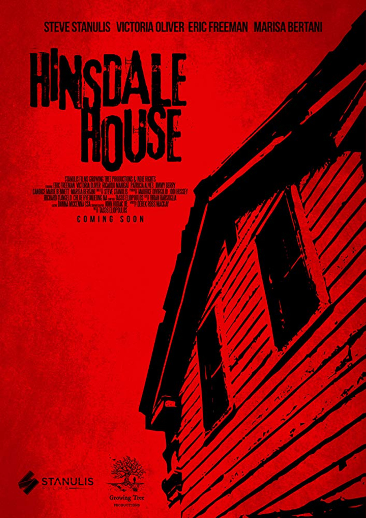 Hinsdale House filmaffisch