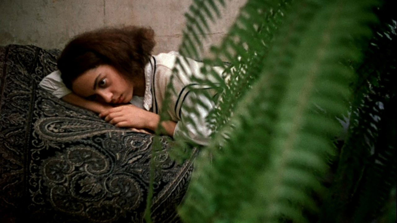 საფეხური