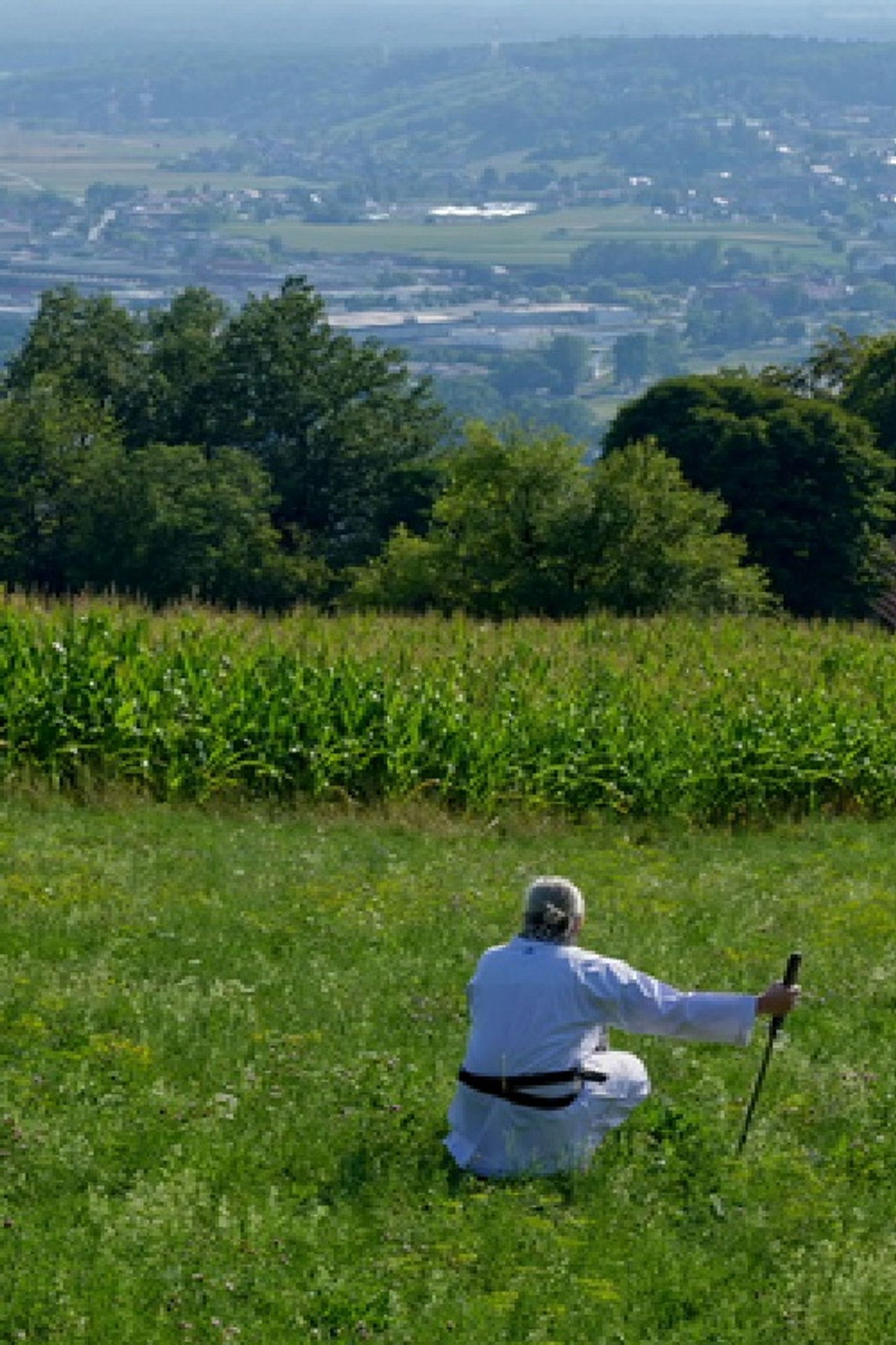 Toshiro's Heritage Backdrop