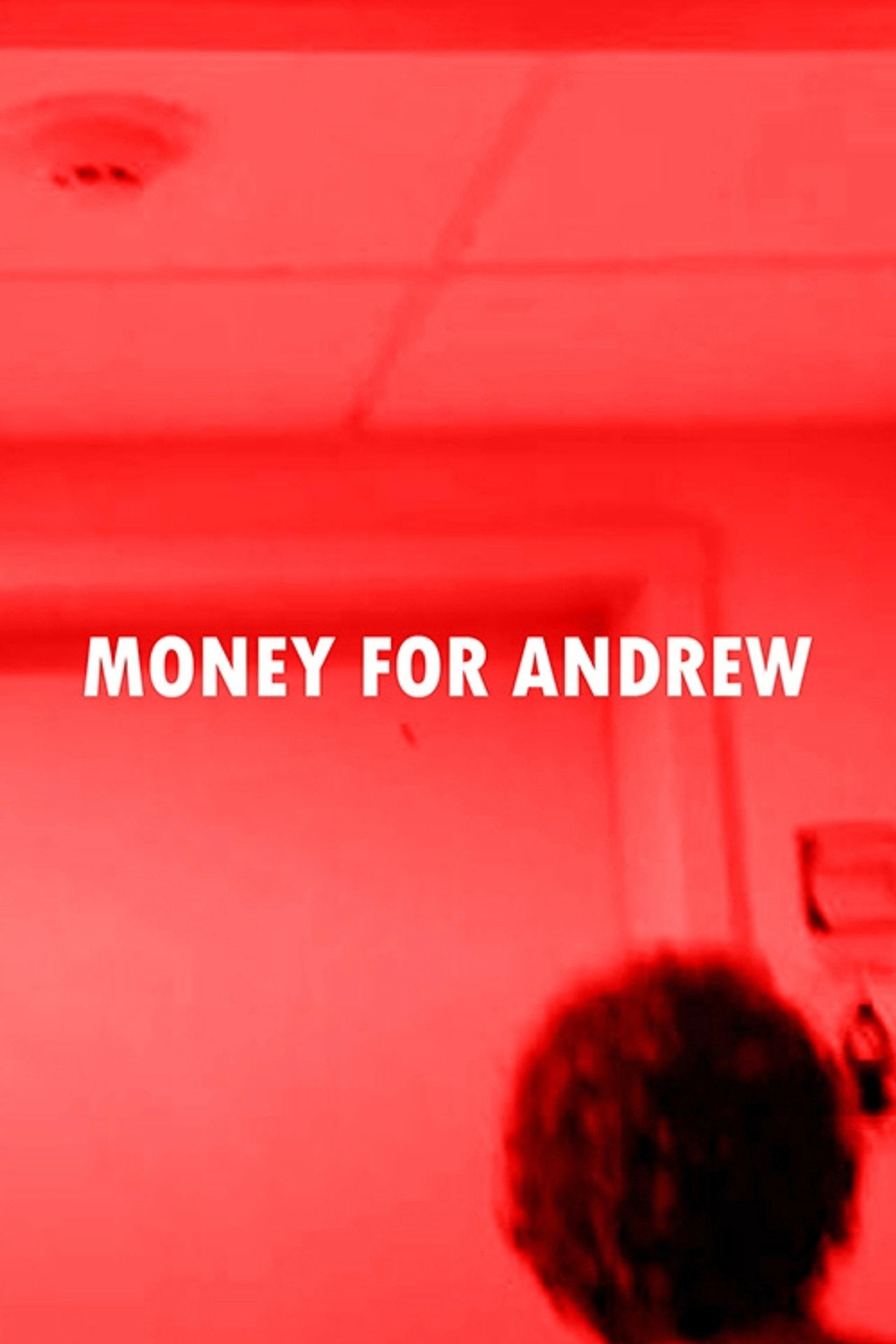 Money for Andrew Backdrop