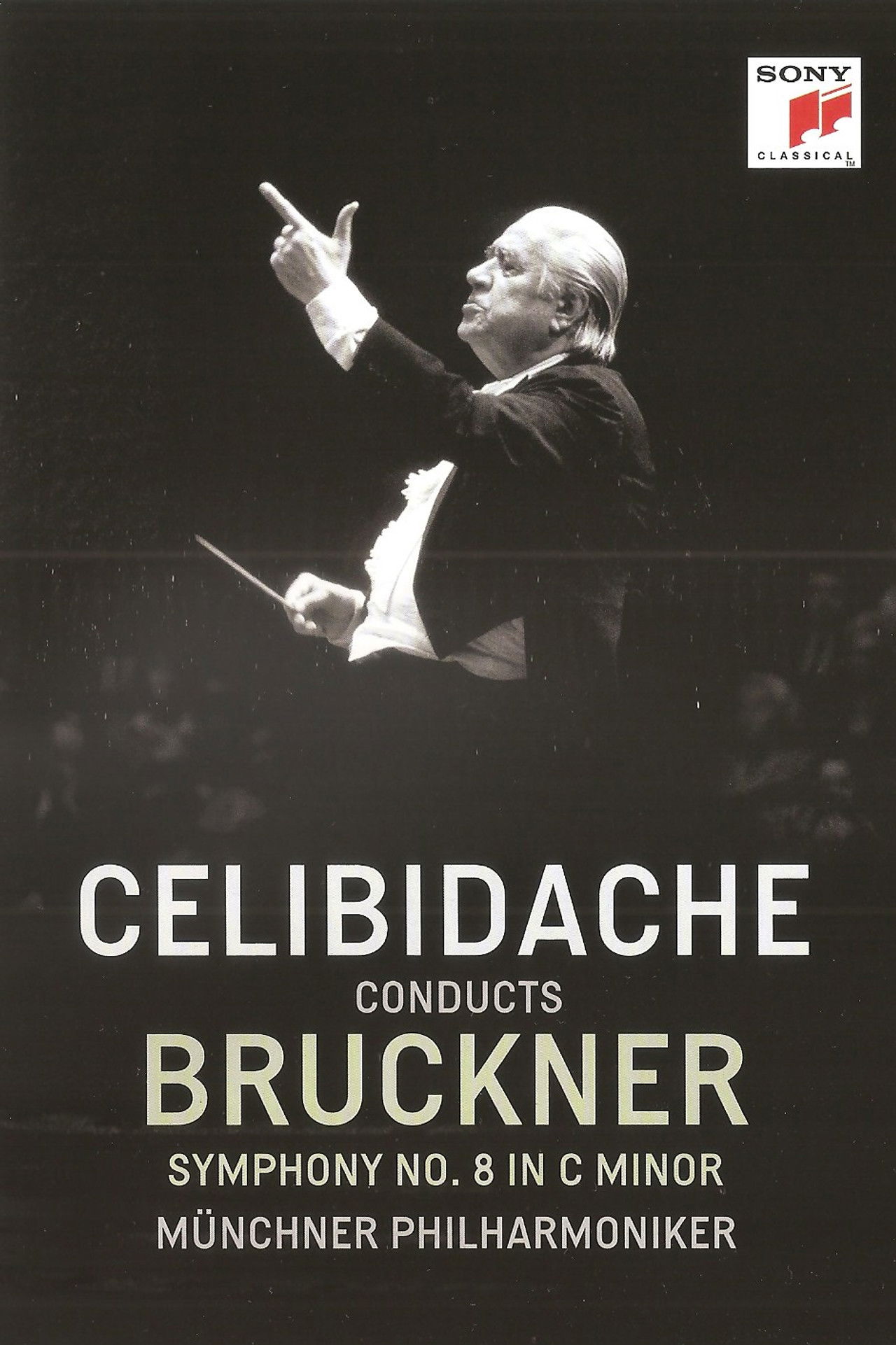 Bruckner - Symphony No. 8 (Version 1890) (Sergiu Celibidache, live at the Suntory Hall, Tokyo) Backdrop
