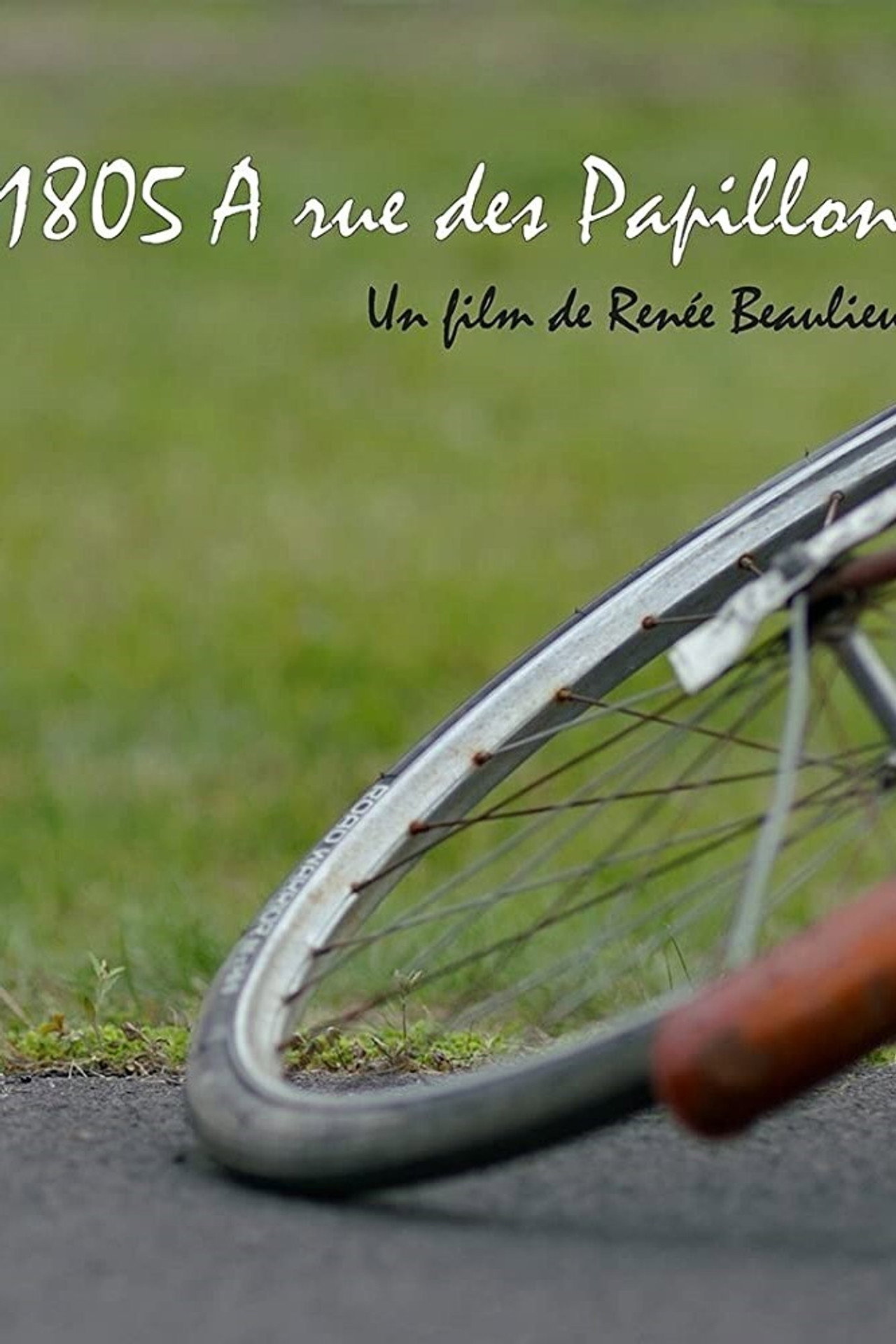 1805 A Rue des Papillons filmaffisch