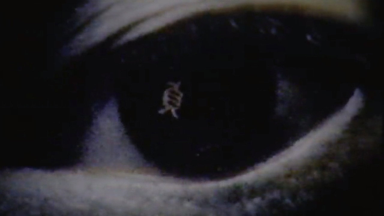 The Cursed Tape (from Ring)