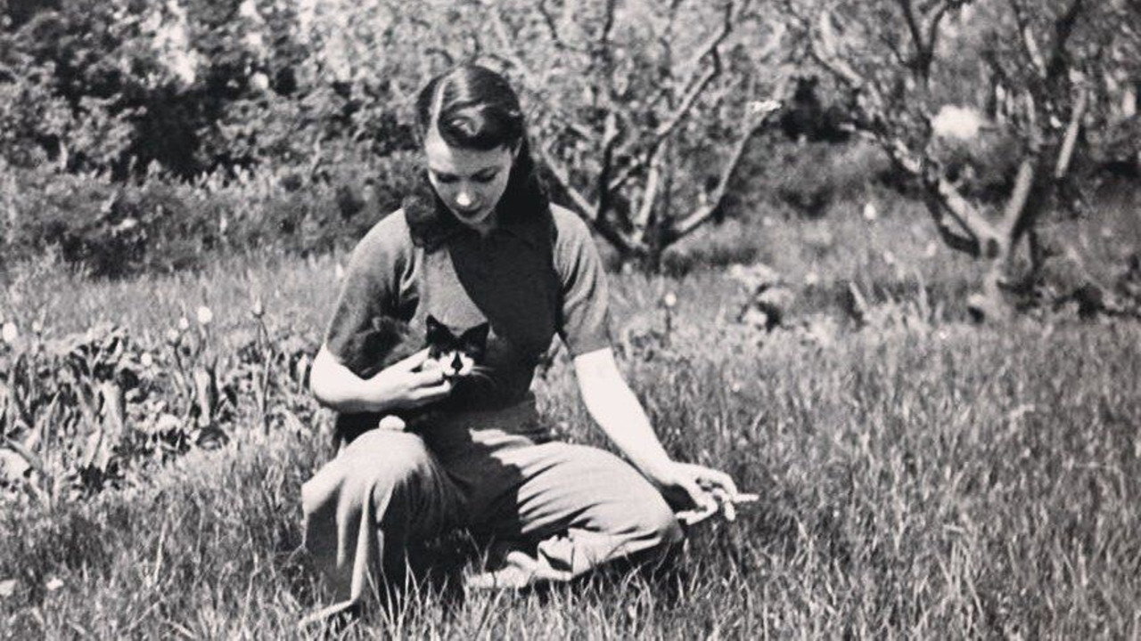 Vivien Leigh: Scarlett and Beyond still 4
