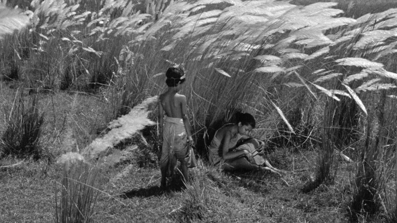 Pather Panchali Backdrop Image