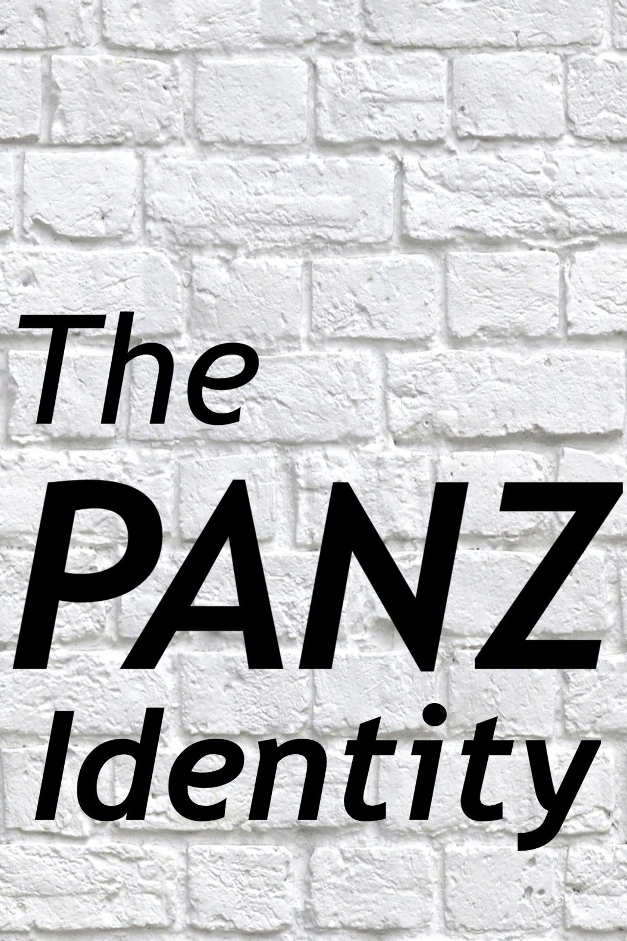 The Panz Identity Backdrop