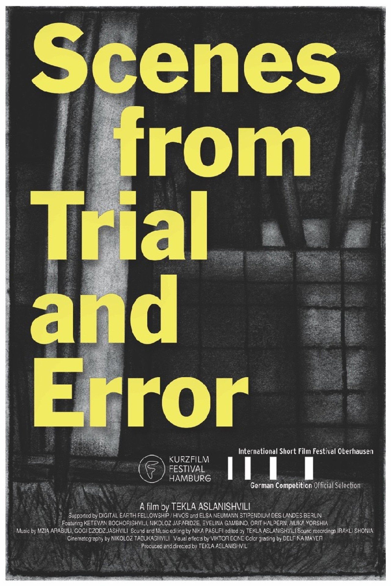 Scenes from Trial and Error filmaffisch