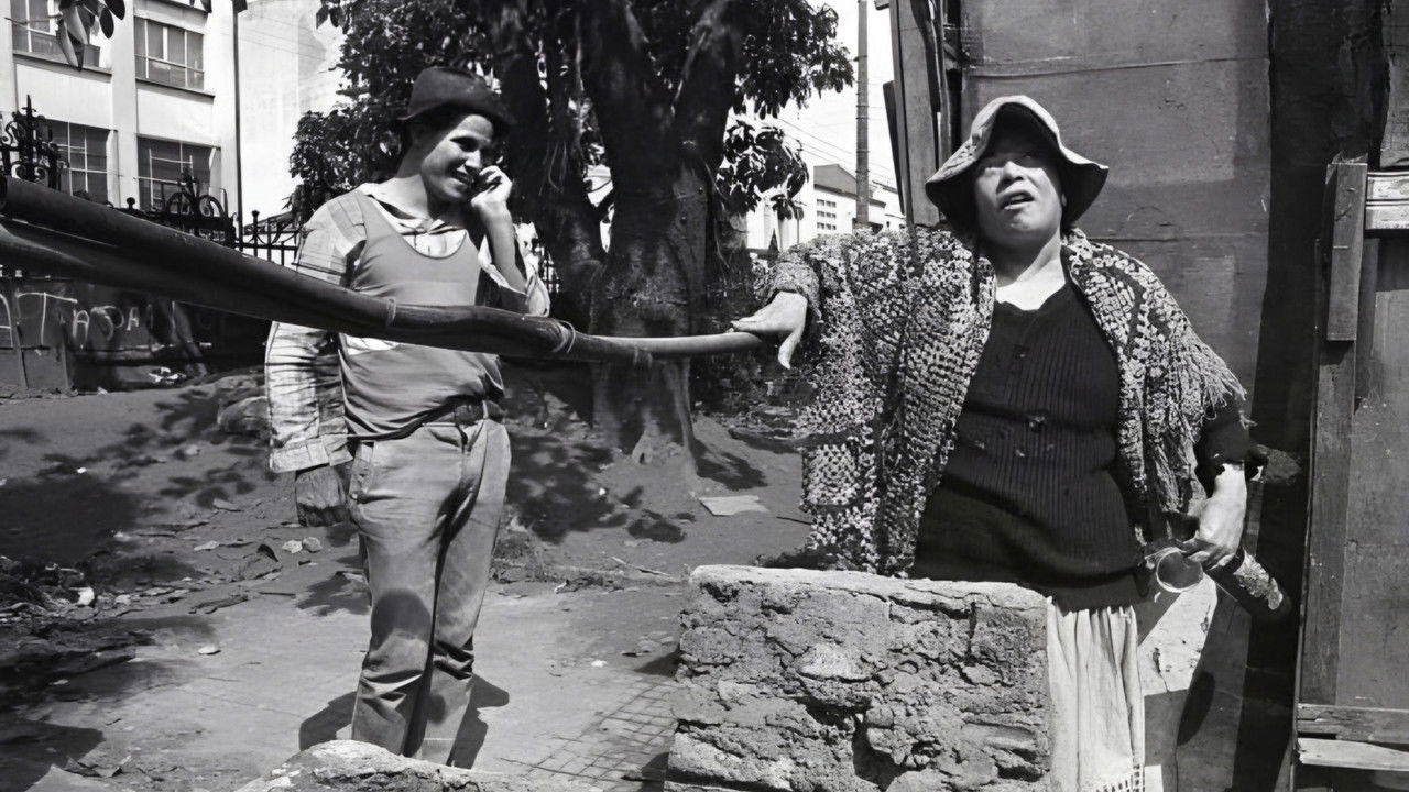 Brasileiras e Brasileiros