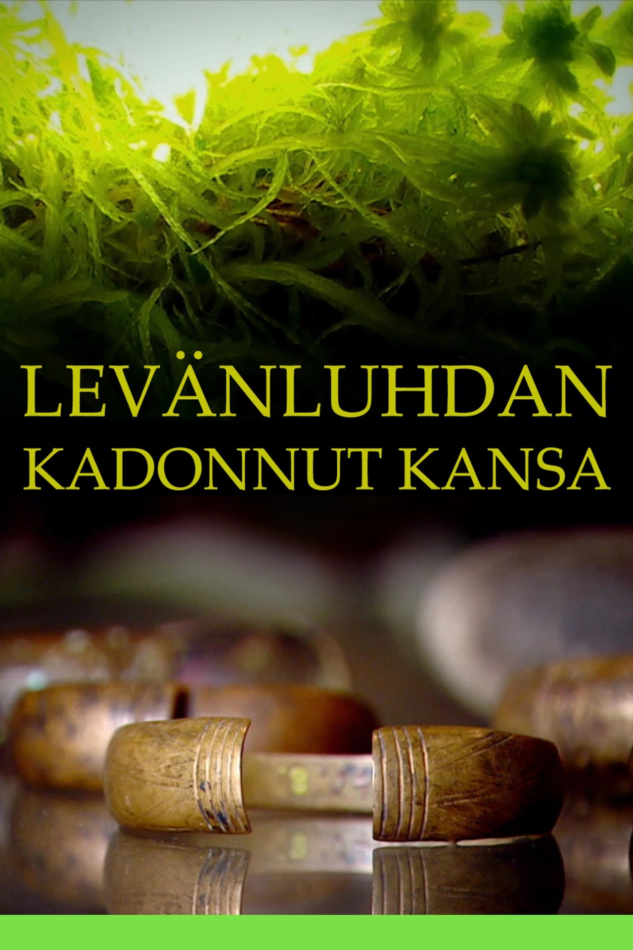 مشاهدة فيلم Levänluhdan kadonnut kansa مترجم بدون اعلانات - بوستر