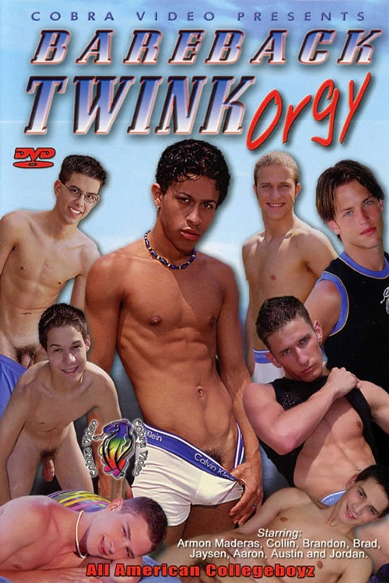 Bareback Twink Orgy filmaffisch