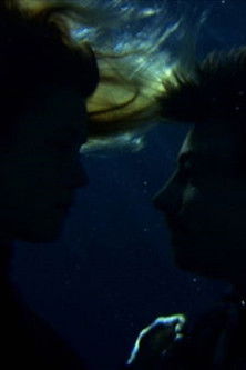 Heart to Heart Backdrop