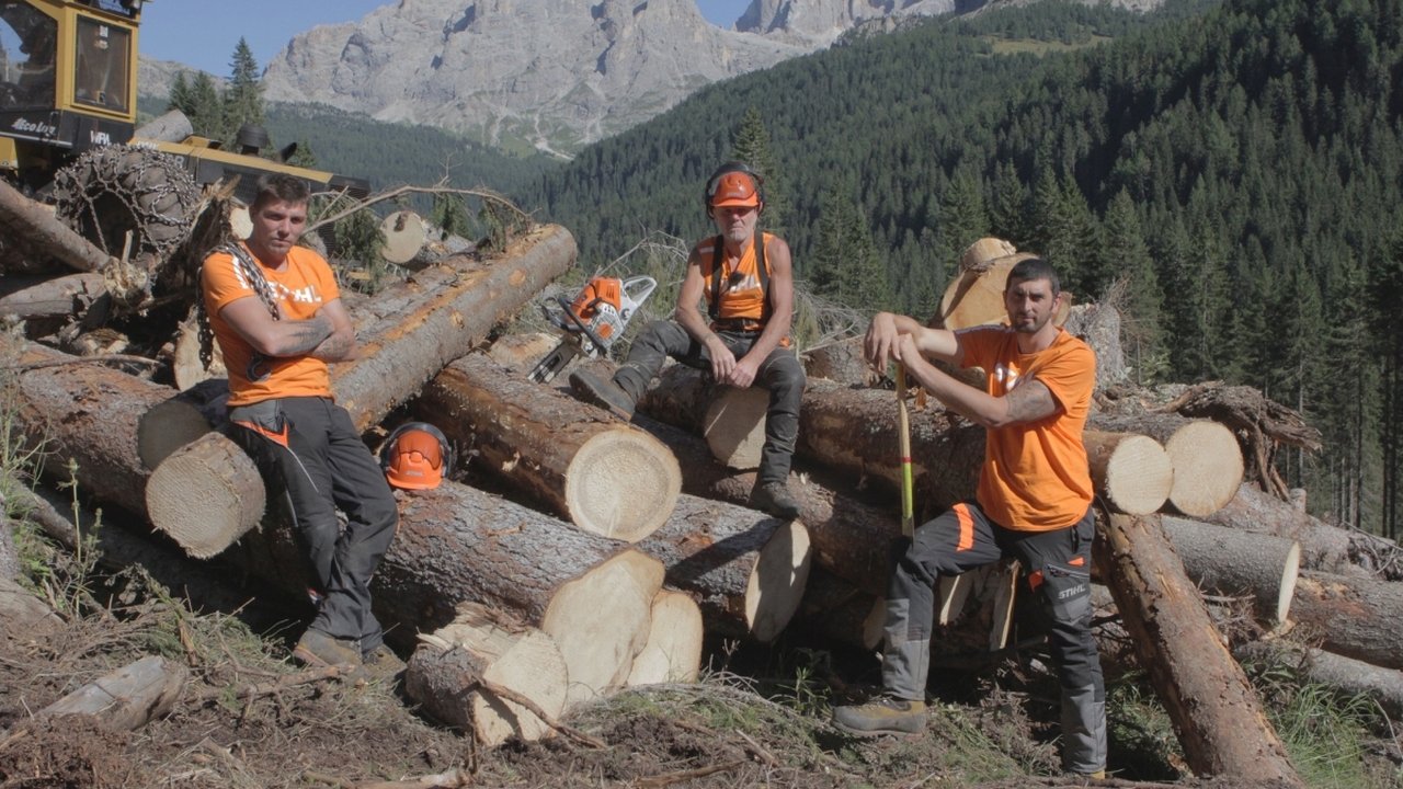 Undercut: l'oro di legno - Season 2 Episode 5 : Episode 5