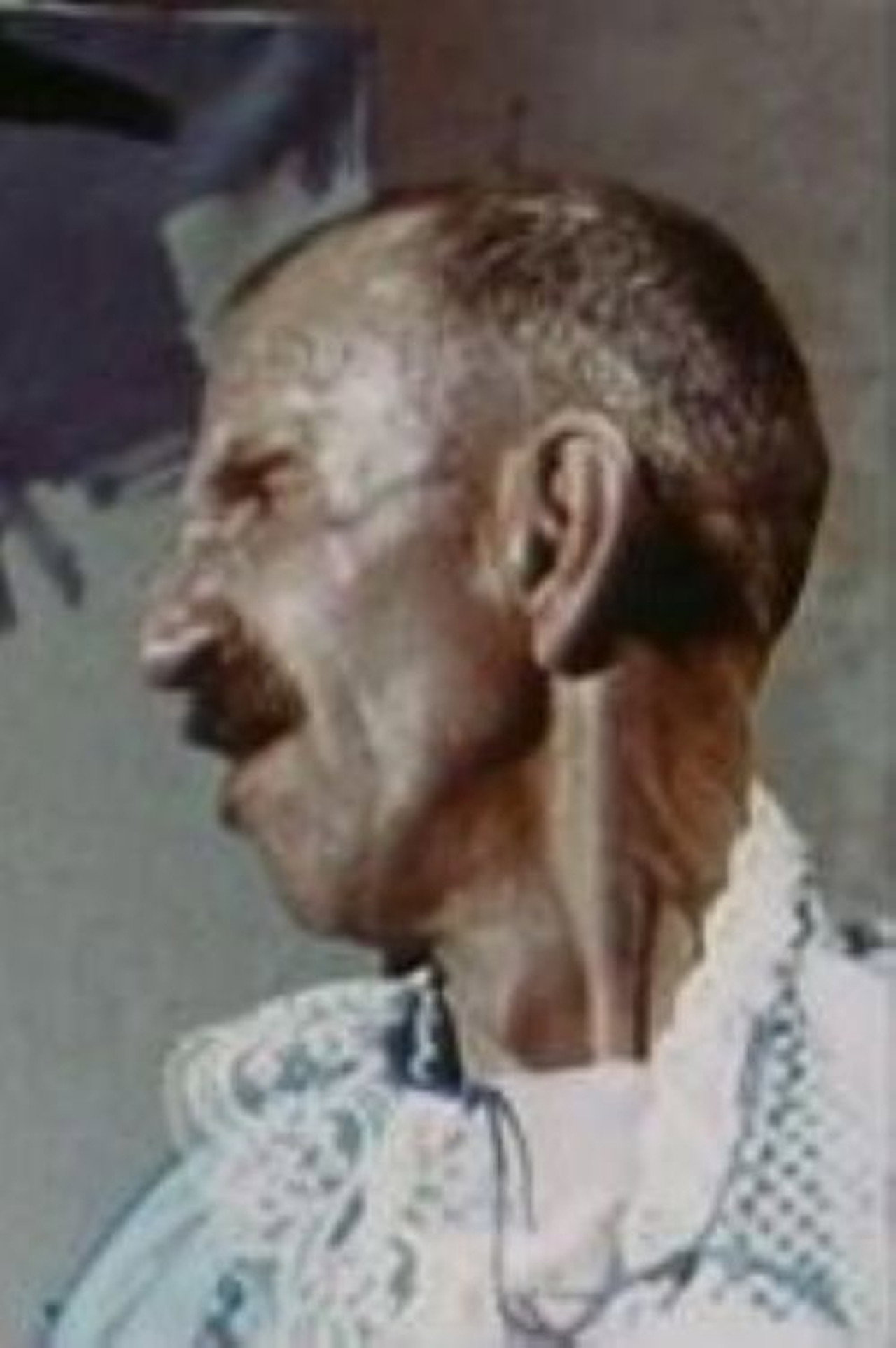 Antonio Ligabue, pittore filmaffisch