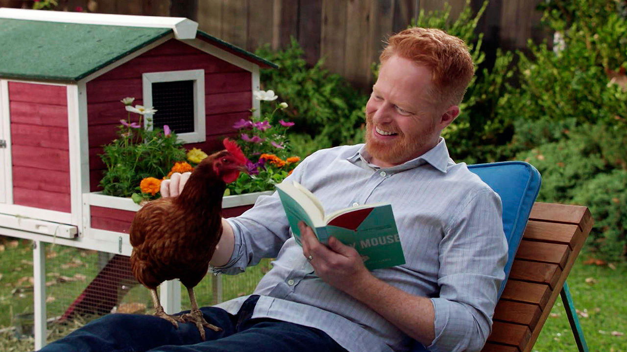 Modern Family - Season 10 Episode 7 : Did the Chicken Cross the Road?