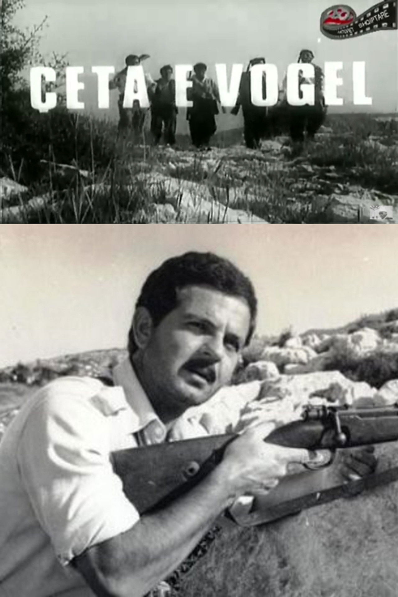 The Small Unit Backdrop