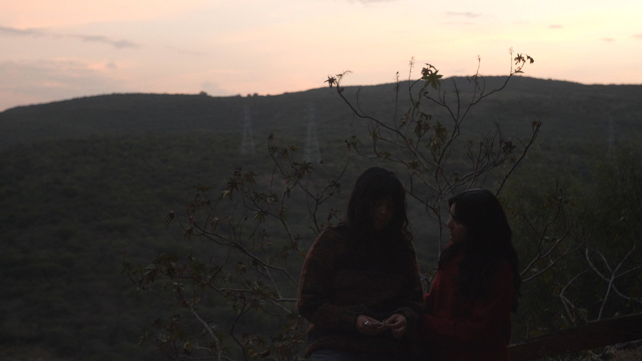 Haiku still 2