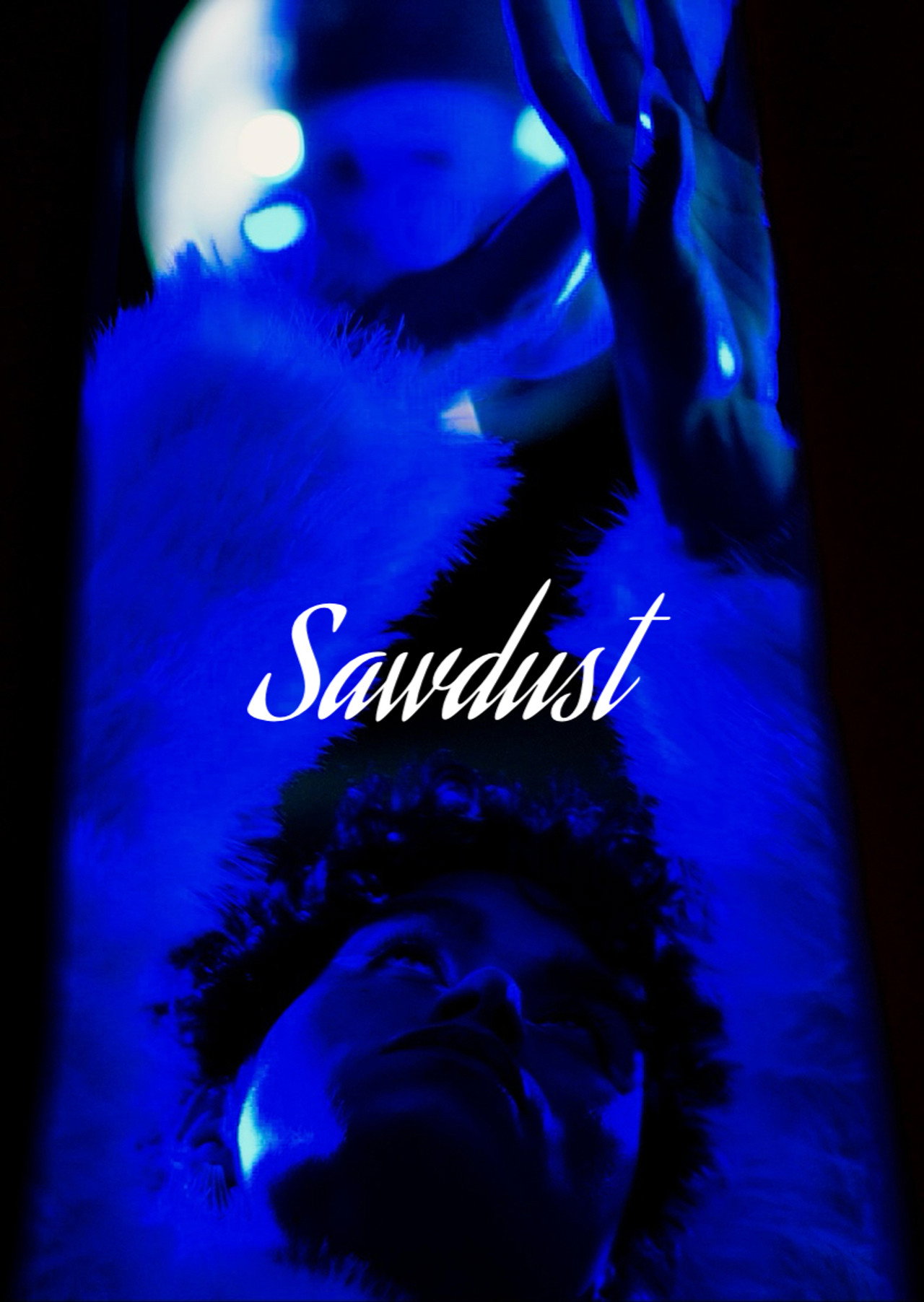 Sawdust filmaffisch
