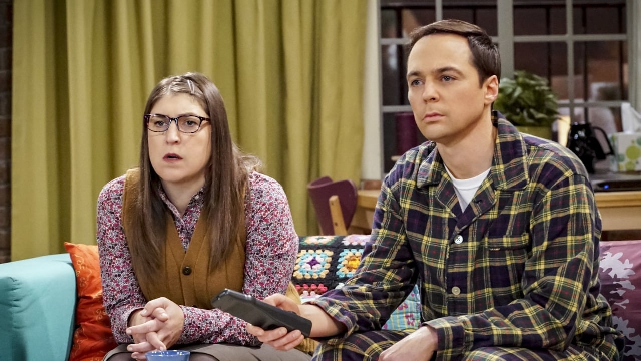 The Big Bang Theory - Season 12 Episode 10 : The VCR Illumination