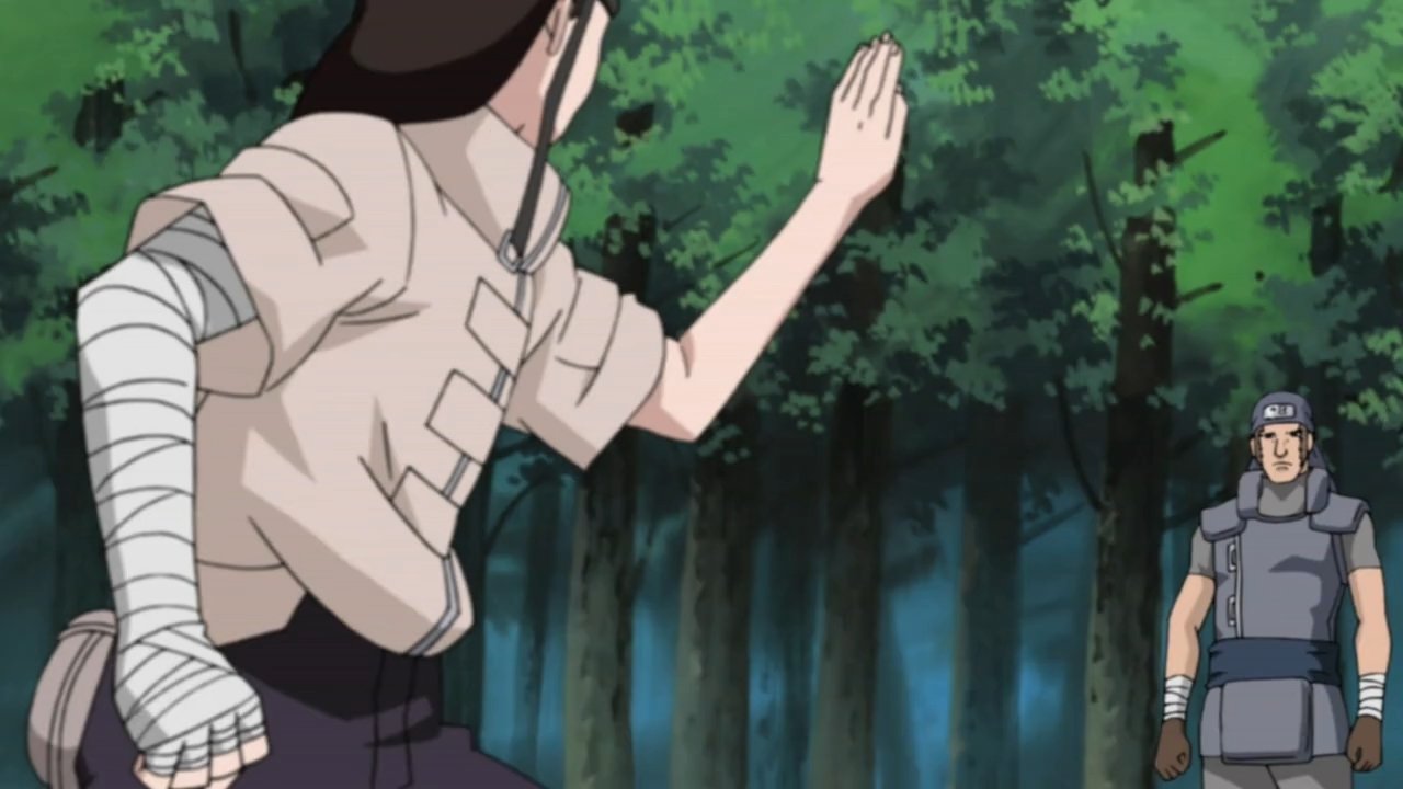Naruto Shippūden - Season 9 Episode 192 : Neji Chronicles