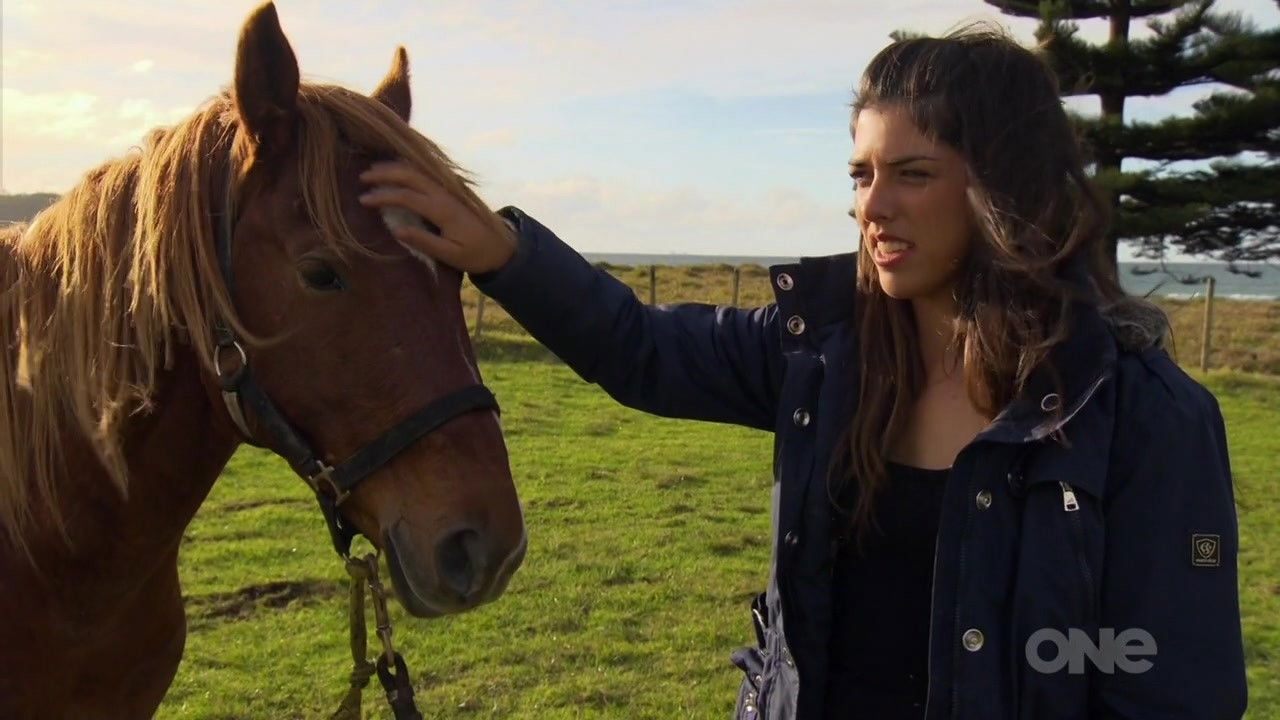 Keeping Up With The Kaimanawas — Épisode 3