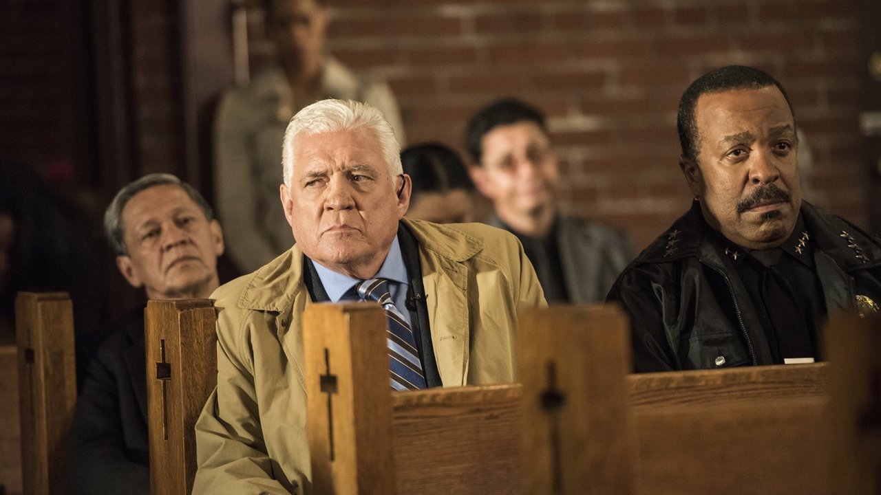 Major Crimes - Season 4 Episode 21 : Hindsight (3)