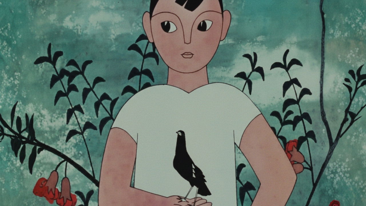 Një zog Myna që flet backdrop