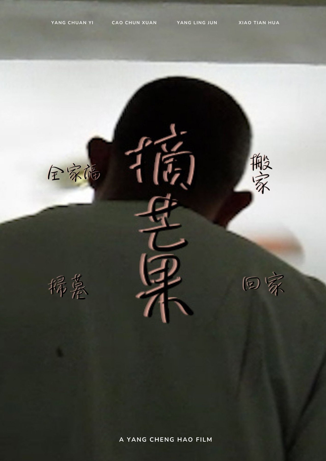 全家福.搬家.掃墓.摘芒果.回家 filmaffisch