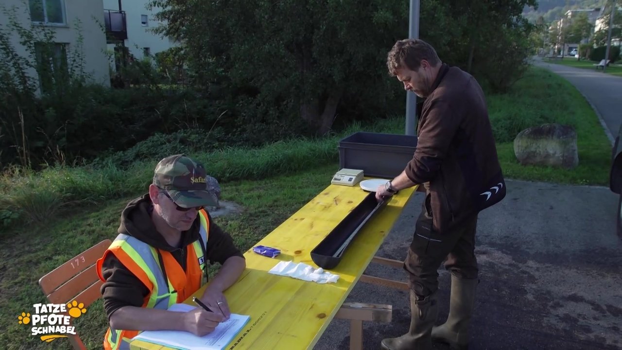 Tatze, Pfote, Schnabel - Season 1 Episode 14 : Episode 14