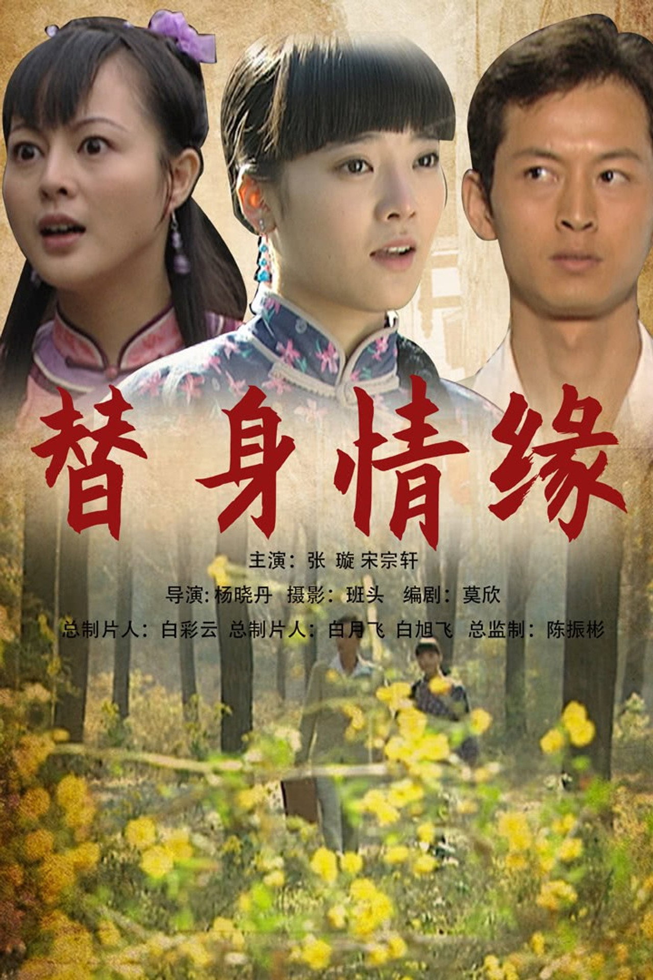 替身情缘 filmaffisch