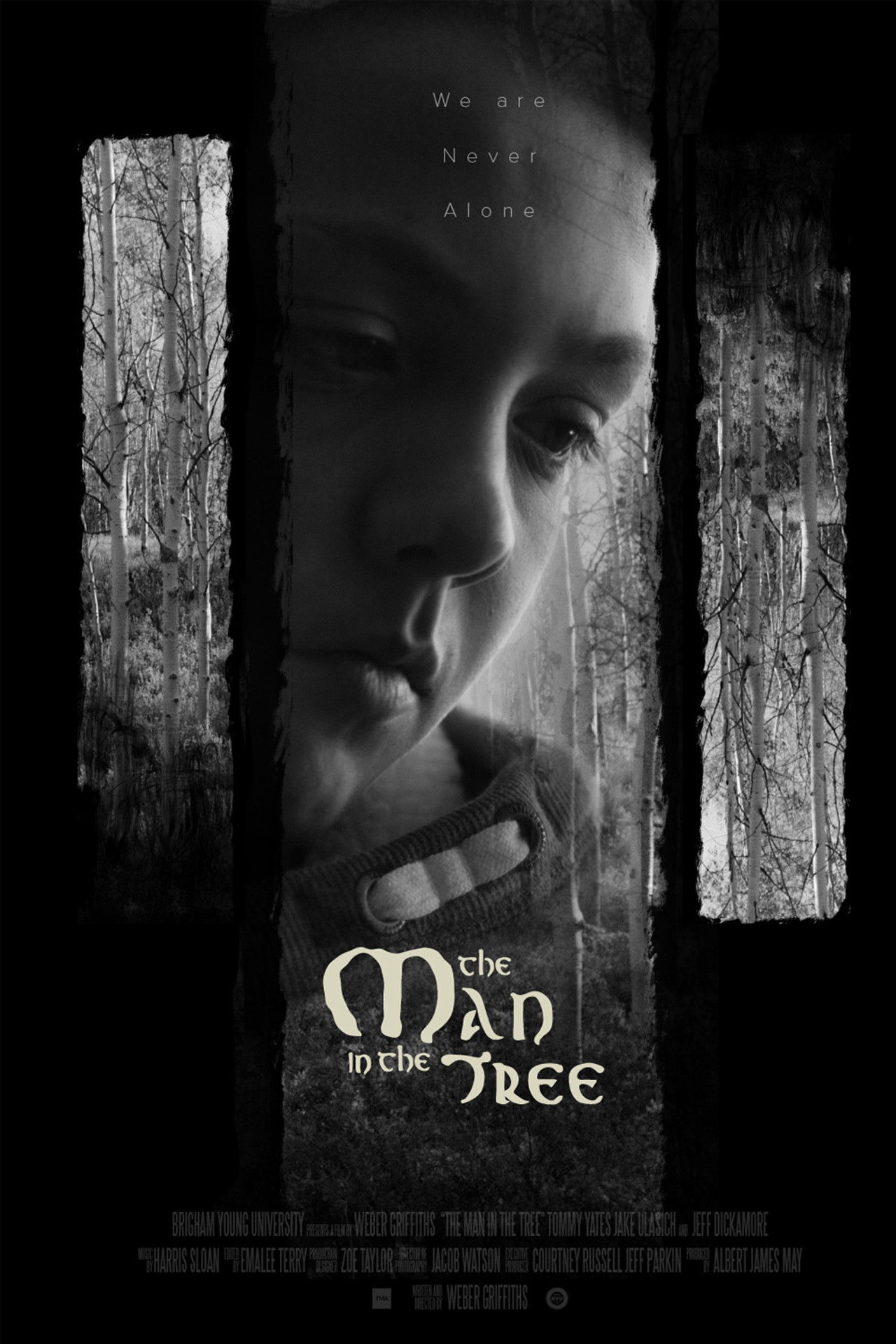 The Man in the Tree Backdrop