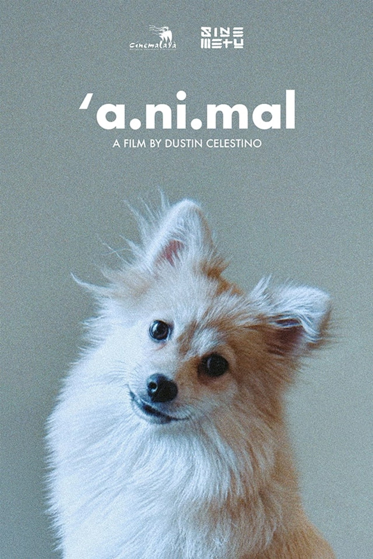 'a.ni.mal filmaffisch
