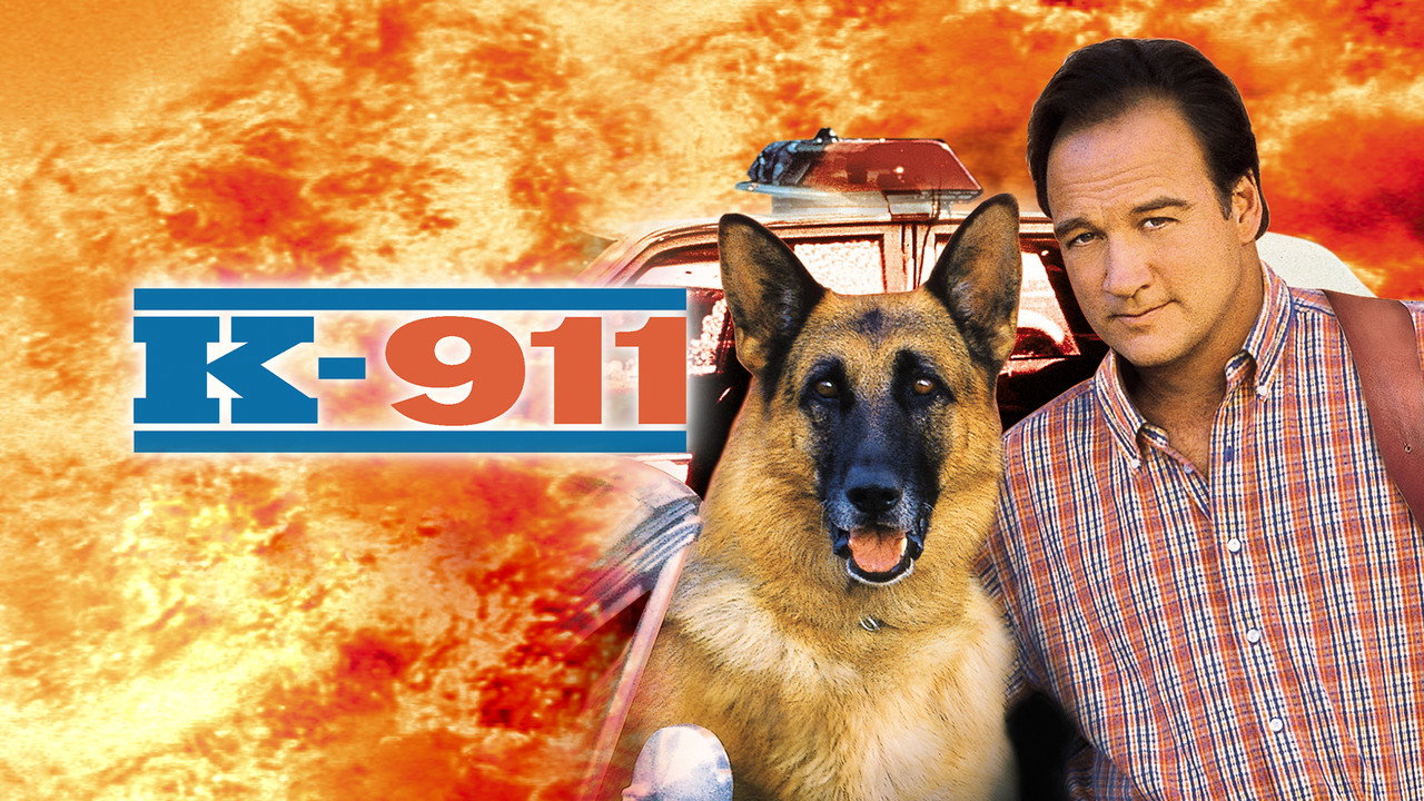 K-911 backdrop